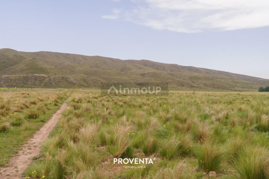 Lote en Venta en Tupungato, Mendoza