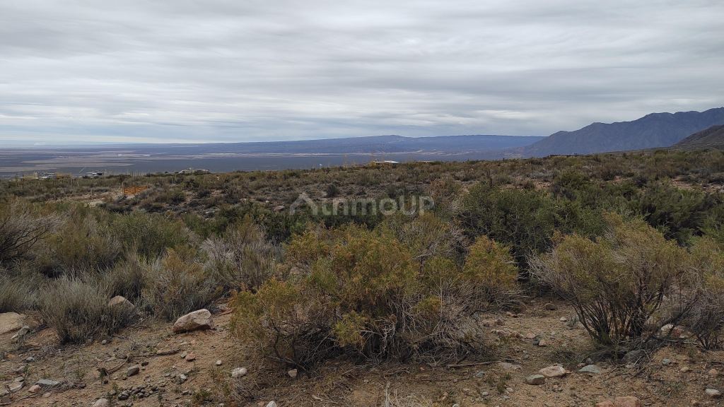 Lote en Venta en Lujan de Cuyo, Mendoza