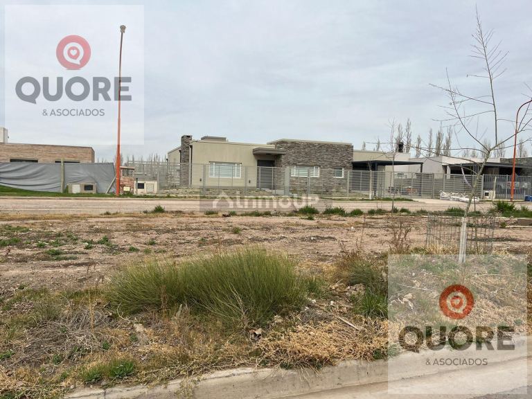 Terreno en Venta en General Roca, Rio Negro - USD 35.000 | Inmoup - 8