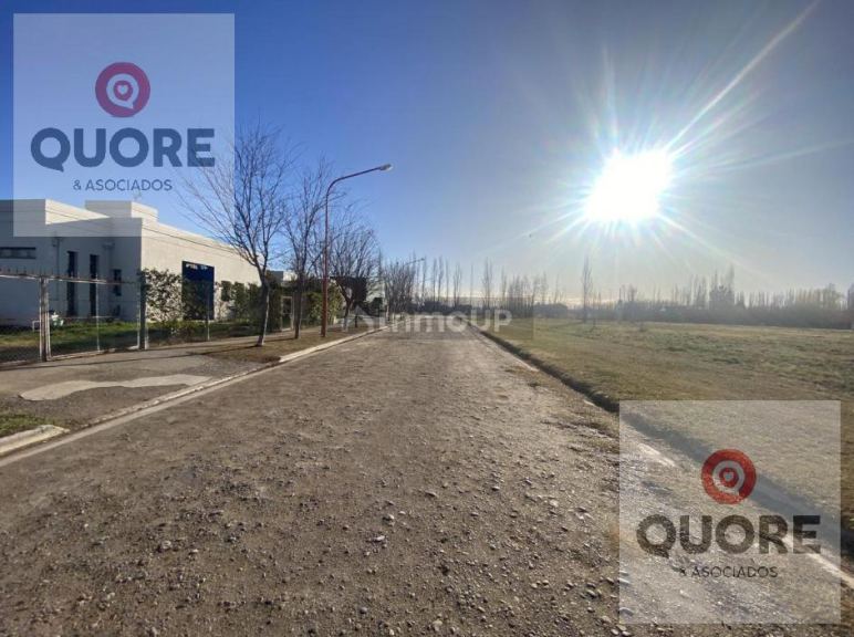 Terreno en Venta en General Roca, Rio Negro - USD 35.000 | Inmoup - 6