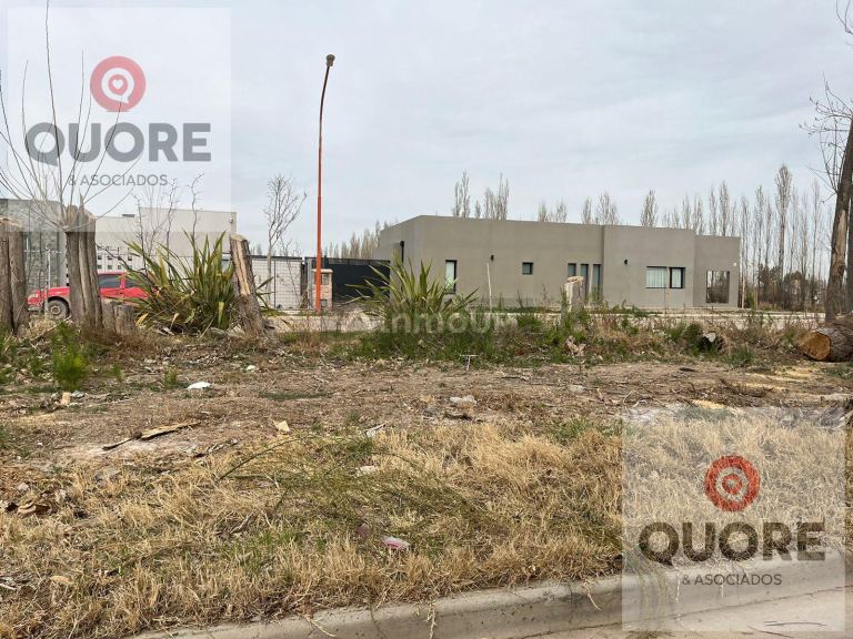 Terreno en Venta en General Roca, Rio Negro - USD 35.000 | Inmoup - 11