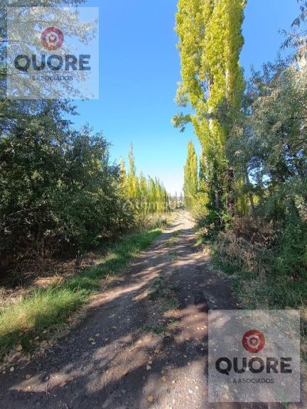 Finca en Venta en Cipolletti, Rio Negro