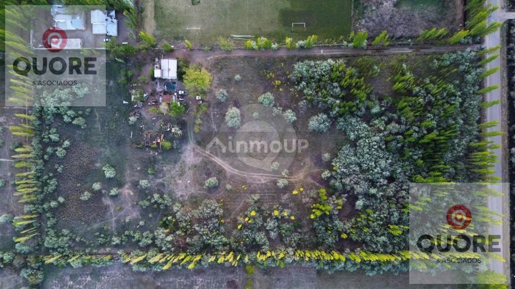 Finca en Venta en Cipolletti, Rio Negro
