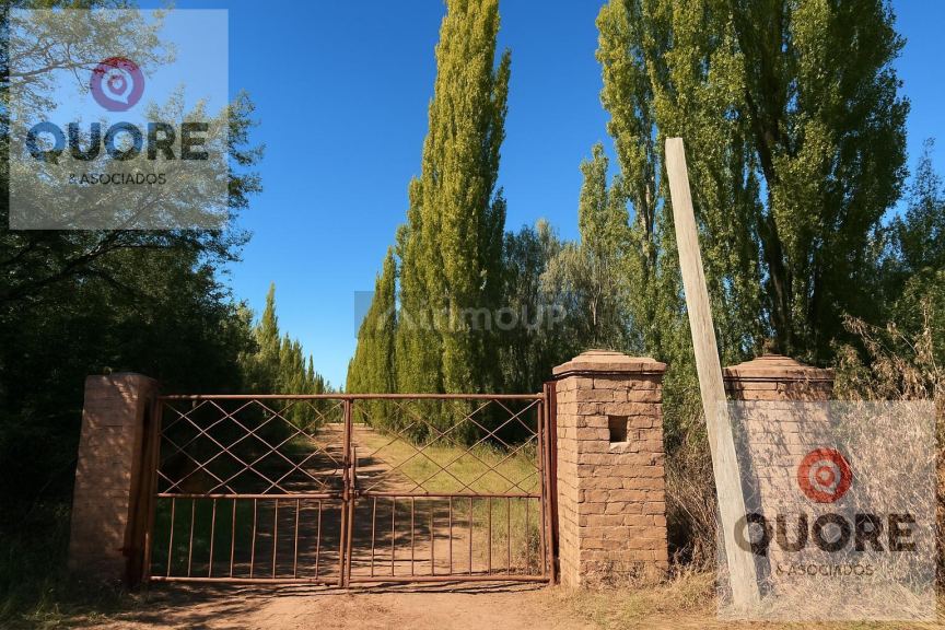 Finca en Venta en Cipolletti, Rio Negro