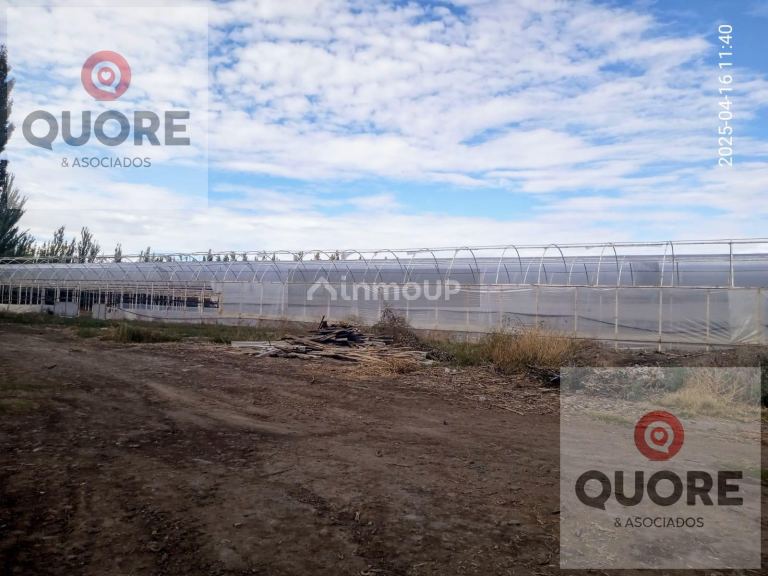 Finca en Venta en Cipolletti, Rio Negro