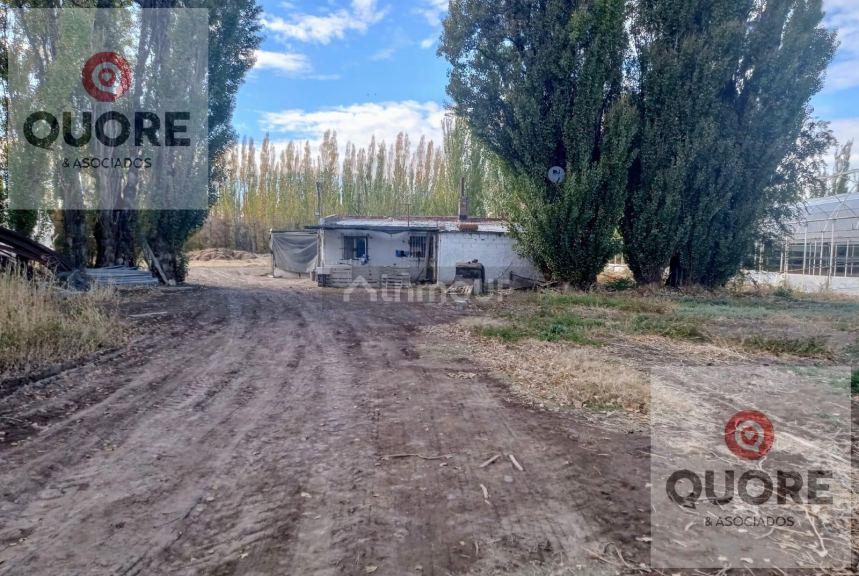 Finca en Venta en Cipolletti, Rio Negro