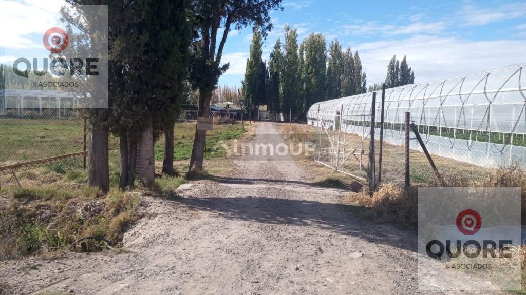 Finca en Venta en Cipolletti, Rio Negro