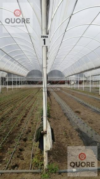 Finca en Venta en Cipolletti, Rio Negro