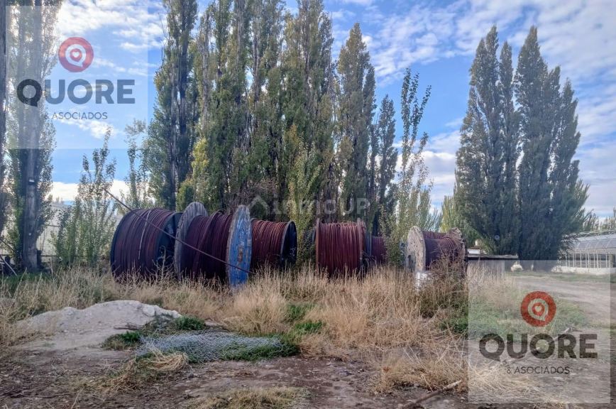 Finca en Venta en Cipolletti, Rio Negro