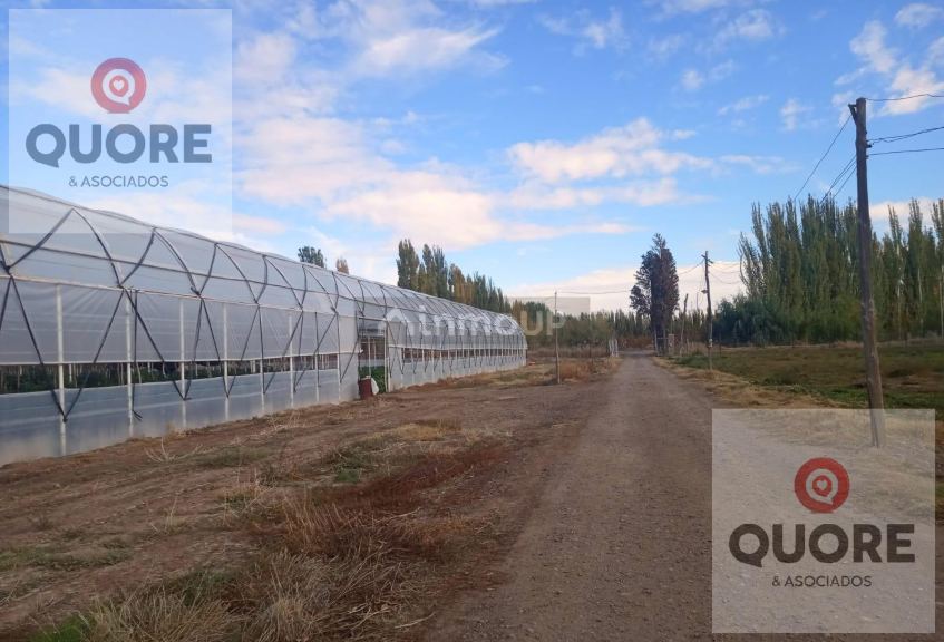 Finca en Venta en Cipolletti, Rio Negro