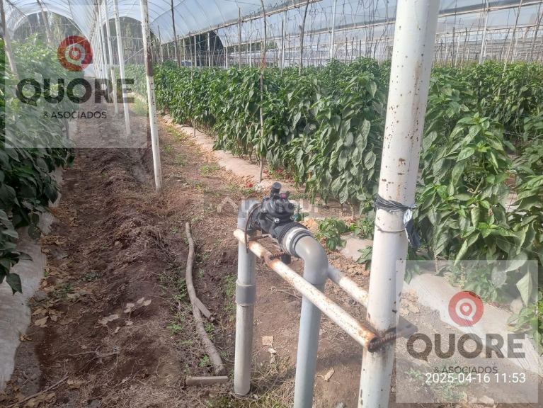 Finca en Venta en Cipolletti, Rio Negro