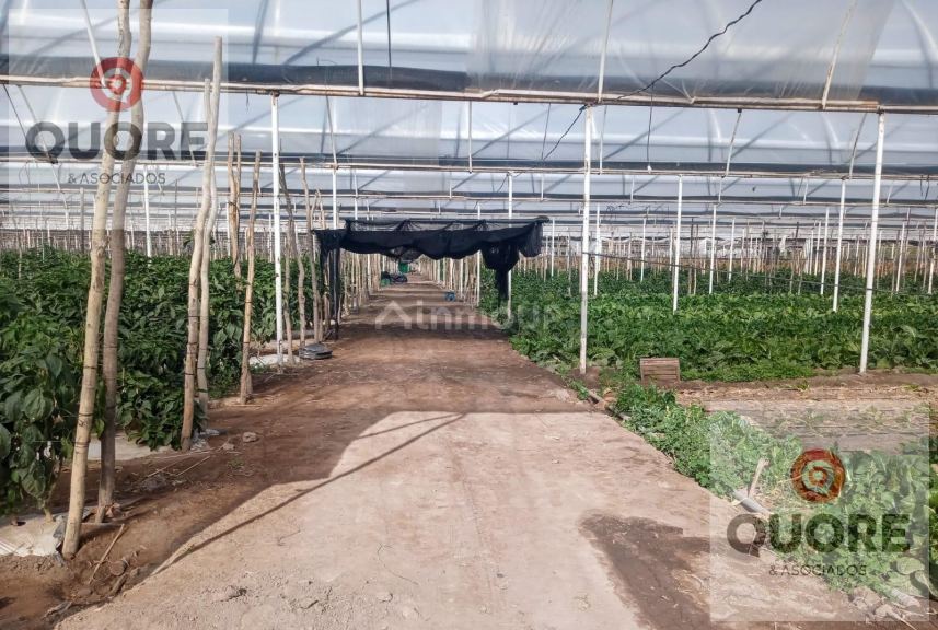 Finca en Venta en Cipolletti, Rio Negro