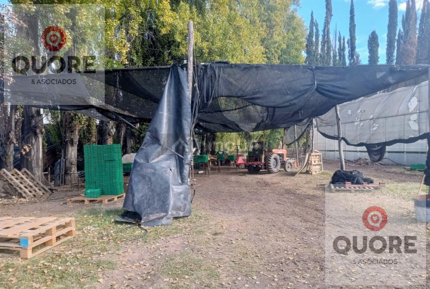 Finca en Venta en Cipolletti, Rio Negro