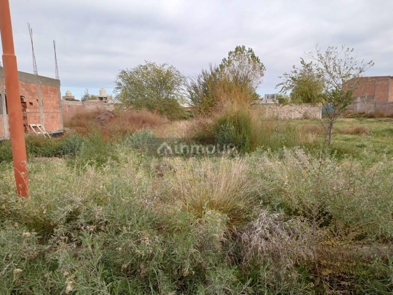 Terreno en Venta en Fernandez Oro, Rio Negro - USD 14.000 | Inmoup - 9