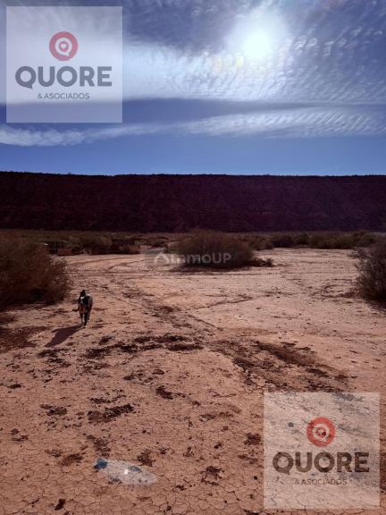 Terreno en Alquiler en Añelo, Neuquen