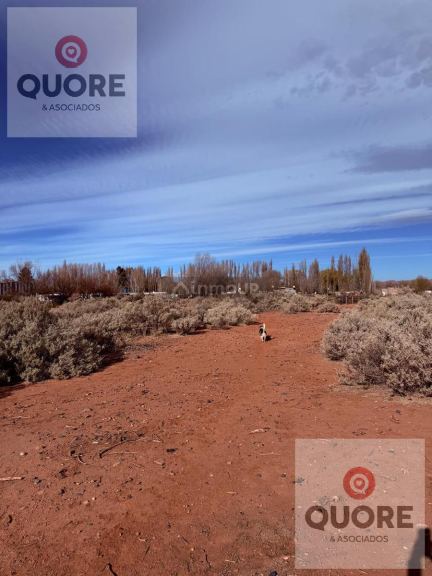 Terreno en Alquiler en Añelo, Neuquen