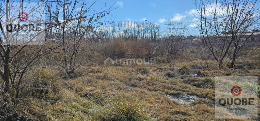 Terreno en Venta en Confluencia, Neuquen - USD 14.000 | Inmoup - 8
