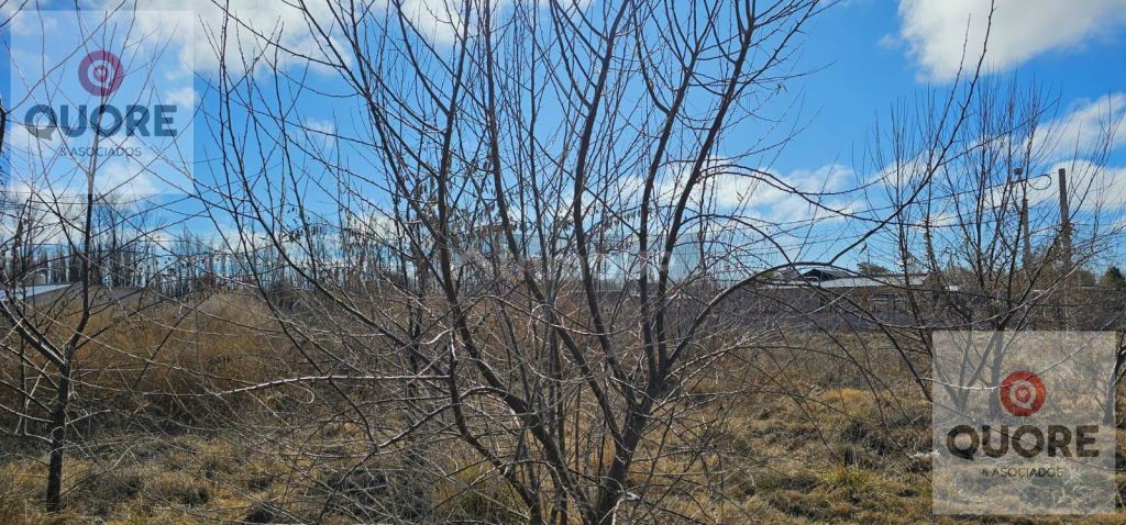 Terreno en Venta en Confluencia, Neuquen - USD 14.000 | Inmoup - 7