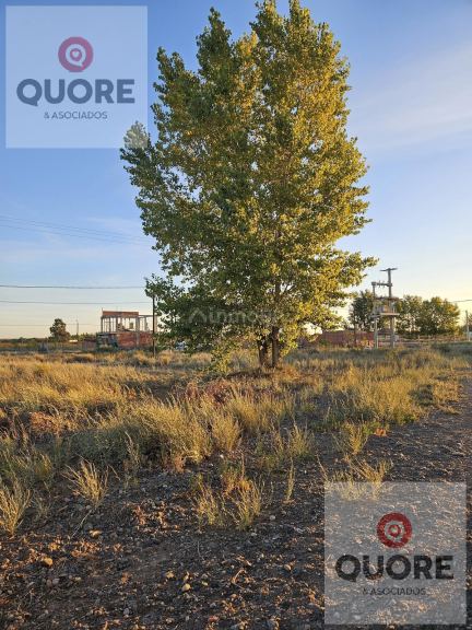 Terreno en Venta en Confluencia, Neuquen - $ 10.500.000 | Inmoup - 8