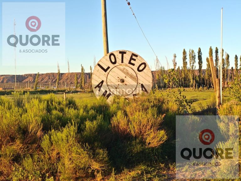 Terreno en Venta en Confluencia, Neuquen - USD 7.000 | Inmoup - 12