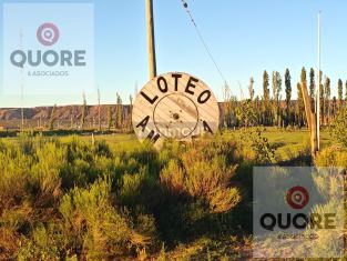 Confluencia Barrio Amedea - Lote 19 - Plottier