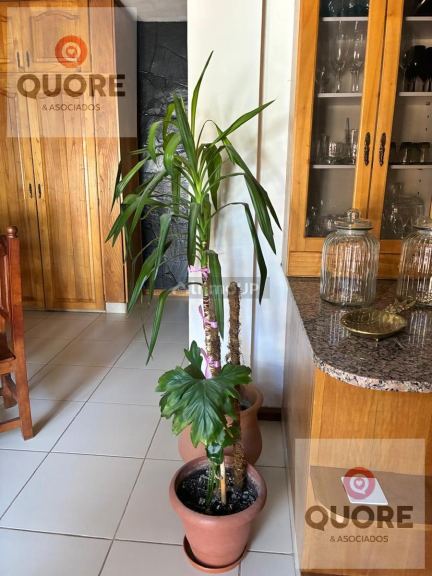 Casa en Venta en Neuquen, Neuquen