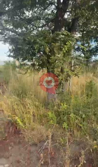 Terreno en Venta en Lacar, Neuquen