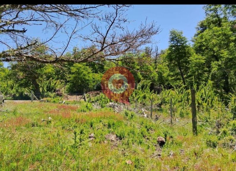 Terreno en Venta en Lacar, Neuquen