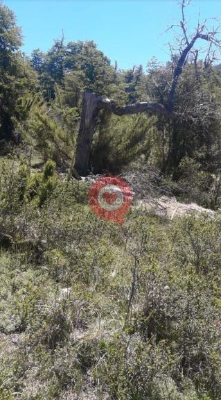 Terreno en Venta en Lacar, Neuquen