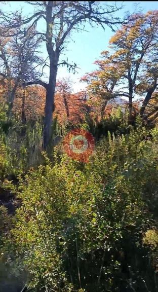Terreno en Venta en Lacar, Neuquen