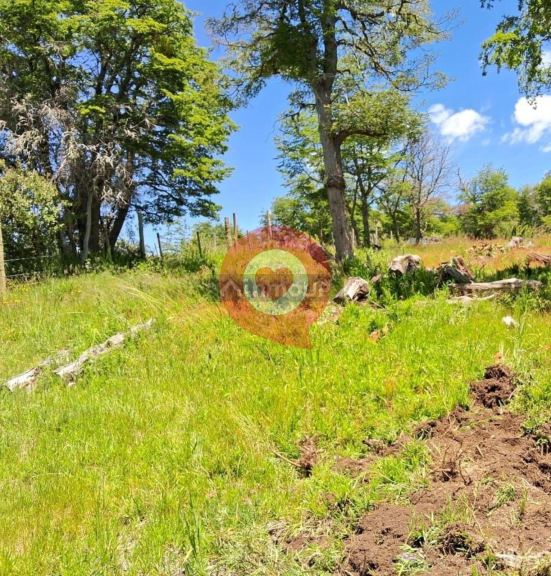 Terreno en Venta en Lacar, Neuquen