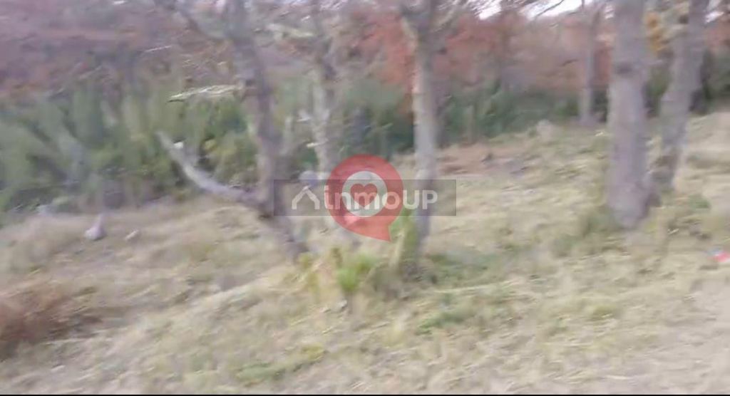 Terreno en Venta en Lacar, Neuquen