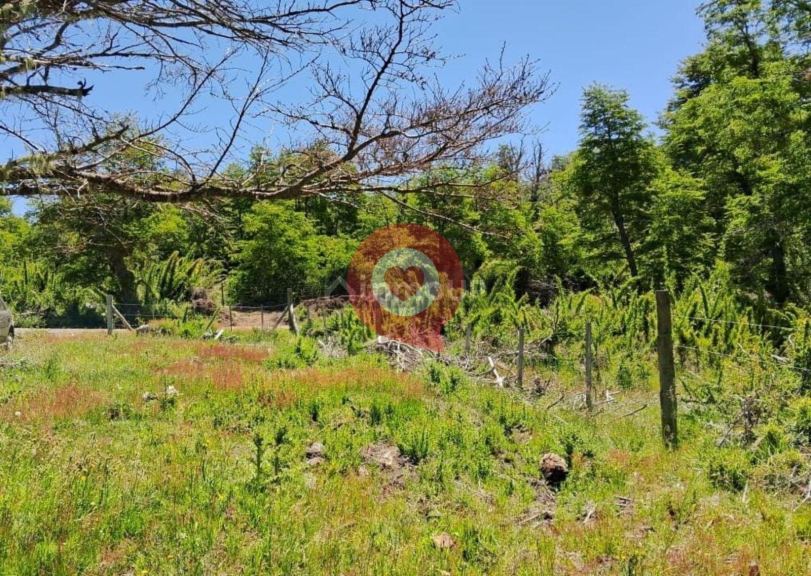 Terreno en Venta en Lacar, Neuquen
