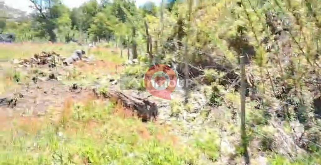Terreno en Venta en Lacar, Neuquen