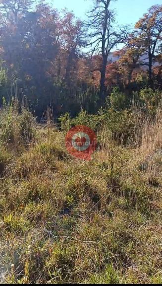 Terreno en Venta en Lacar, Neuquen