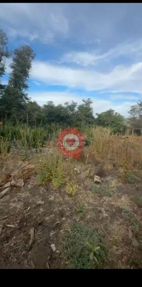 Terreno en Venta en Lacar, Neuquen