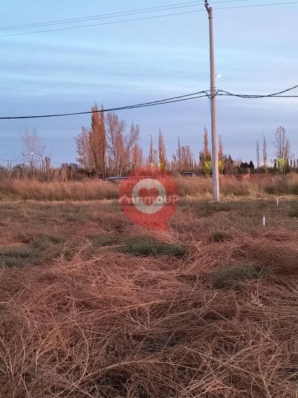Terreno en Venta en General Roca, Rio Negro