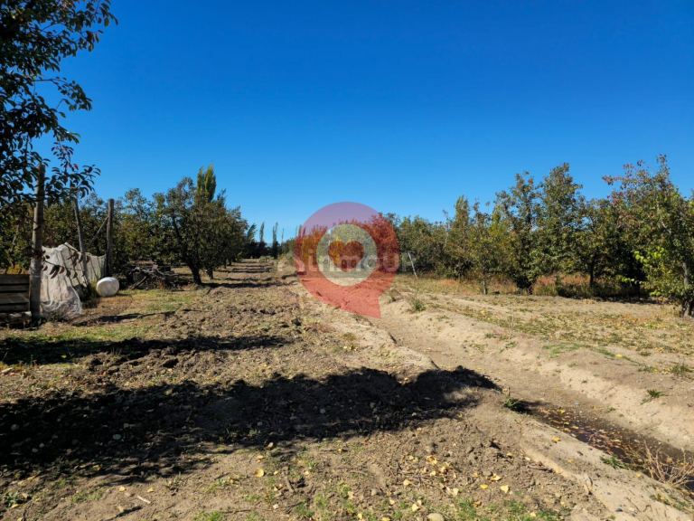 Fernandez Oro Ruta Provincial N°65 ,Gral Fernandez Oro