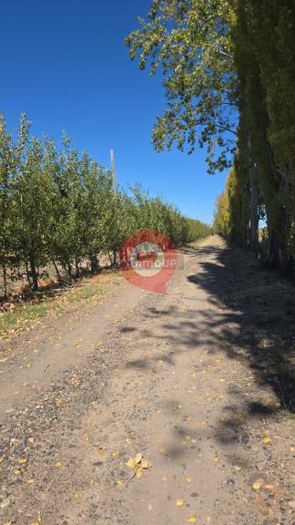 Fernandez Oro Ruta Provincial N°65 ,Gral Fernandez Oro