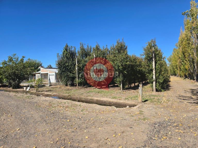 Finca en Venta en Fernandez Oro, Rio Negro - USD 380.000 | Inmoup - 13