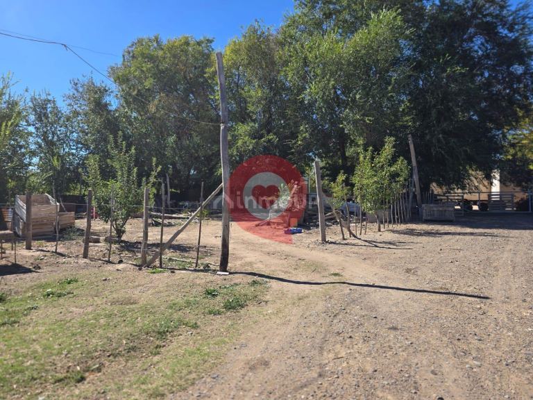 Finca en Venta en Fernandez Oro, Rio Negro - USD 380.000 | Inmoup - 8