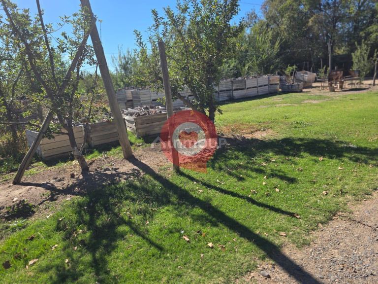 Finca en Venta en Fernandez Oro, Rio Negro - USD 380.000 | Inmoup - 11