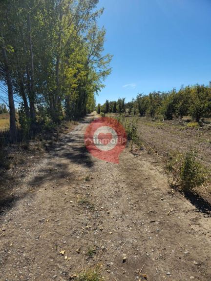 Finca en Venta en Fernandez Oro, Rio Negro - USD 380.000 | Inmoup - 6