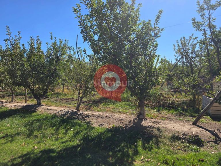 Finca en Venta en Fernandez Oro, Rio Negro - USD 380.000 | Inmoup - 10