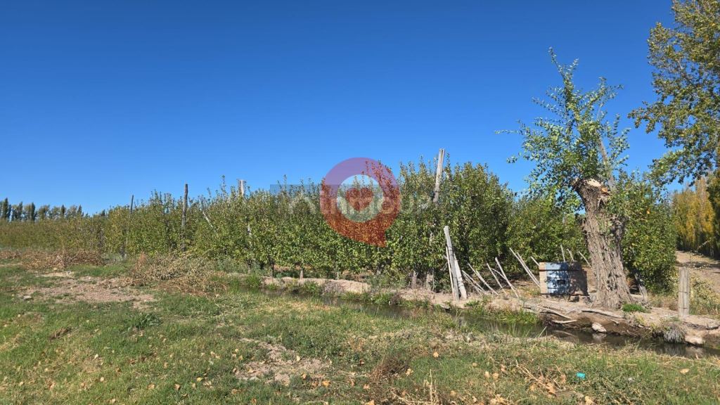 Fernandez Oro Ruta Provincial N°65 ,Gral Fernandez Oro