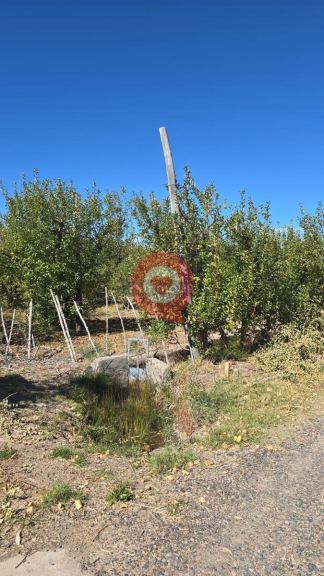 Fernandez Oro Ruta Provincial N°65 ,Gral Fernandez Oro