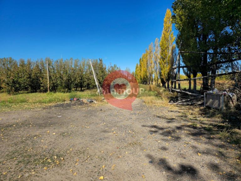 Finca en Venta en Fernandez Oro, Rio Negro - USD 380.000 | Inmoup - 7