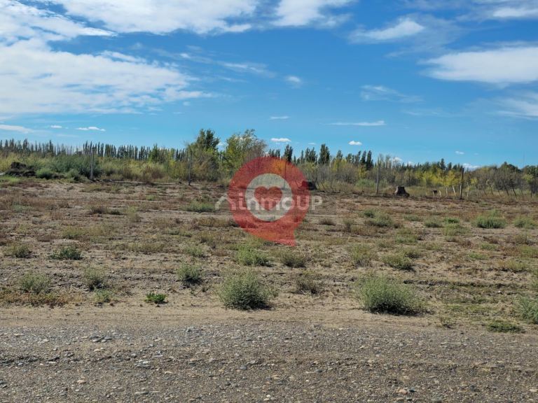 Terreno en Venta en General Roca, Rio Negro - USD 40.000 | Inmoup - 12