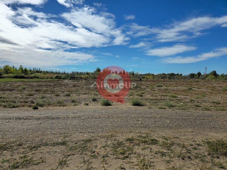 Terreno en Venta en General Roca, Rio Negro - USD 40.000 | Inmoup - 13