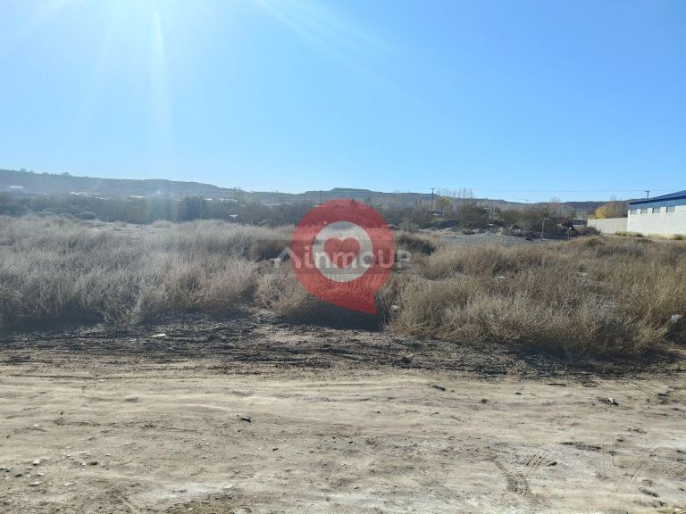 Neuquen Trenque Lauquen y Pergamino S/N